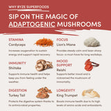 RYZE Mushroom Chai Starter Bag