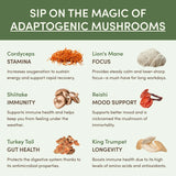 Mushroom Matcha Starter Kit (60 Servings)